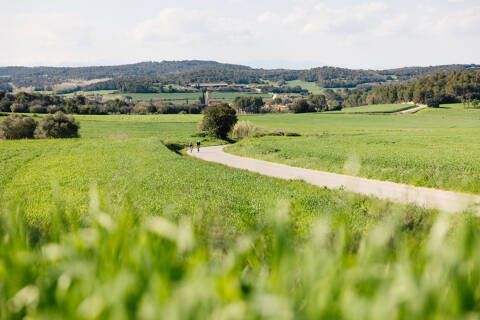 20250328_lloretcycling_753.jpg